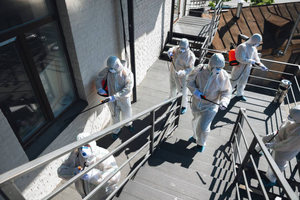 Best Residential Mold Inspection & Testing  in Acworth, GA