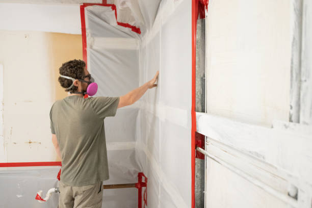 Best Water Damage & Mold Remediation  in Acworth, GA