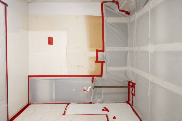 Best Attic Mold Removal  in Acworth, GA