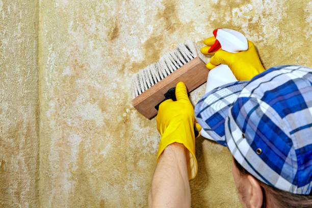 Best Airborne Mold Testing  in Acworth, GA