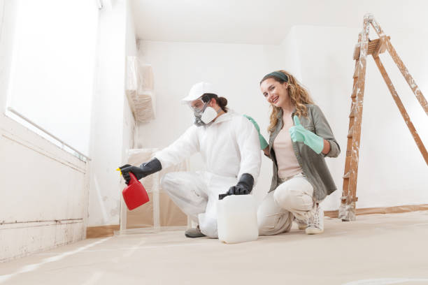Professional Mold Removal in Acworth, GA