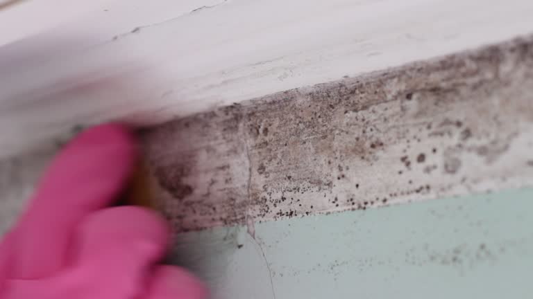 Best Mold Remediation for Healthcare Facilities  in Acworth, GA